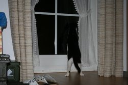 Na, was gibt's draußen so Spannendes?