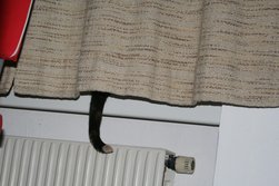 Beinahe gut versteckt