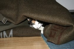 Höhlenersatz aus Wolldecken