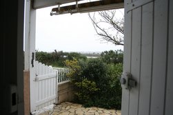 Vorsichtiger Blick auf die Terrasse