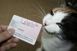 Rückseite mit nur teilweise übernommenen Klassen