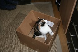 Prinzessin vor dem Spiegel