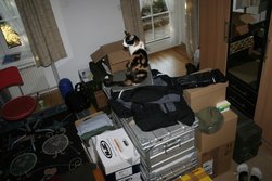 Die Prinzessin auf dem Umzugsgut